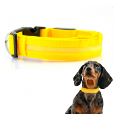 Collar Mascotas LED Biwond Talla L Amarillo