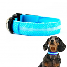 Collar Mascotas LED Biwond Talla M Azul