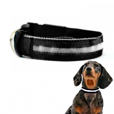 Collar Mascotas LED Biwond Talla M Negro