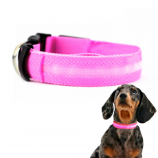 Collar Mascotas LED Biwond Talla L Rosa